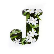 love j letter dp